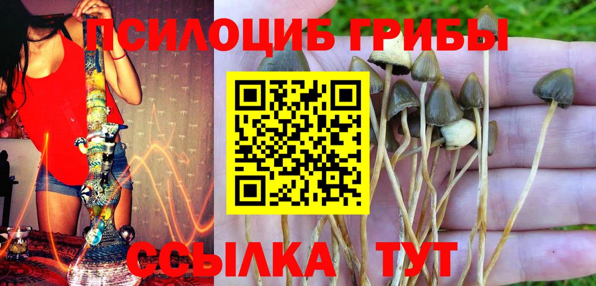 Альметьевск  Галлюциногенные грибы GOLDEN TEACHER  где можно купить наркотик  Галлюциногенные грибы MAGIC MUSHROOMS  Вход с VPN 